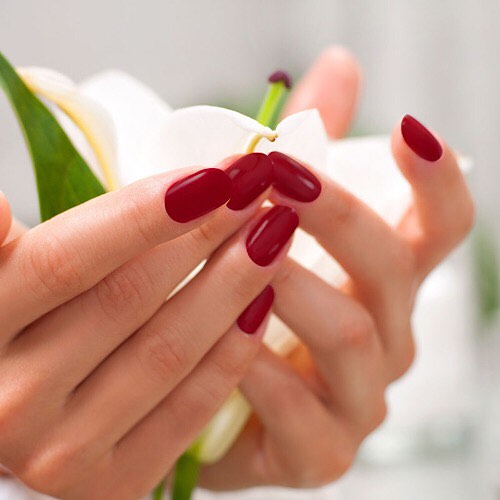 NAIL THE VIBE - Fullset